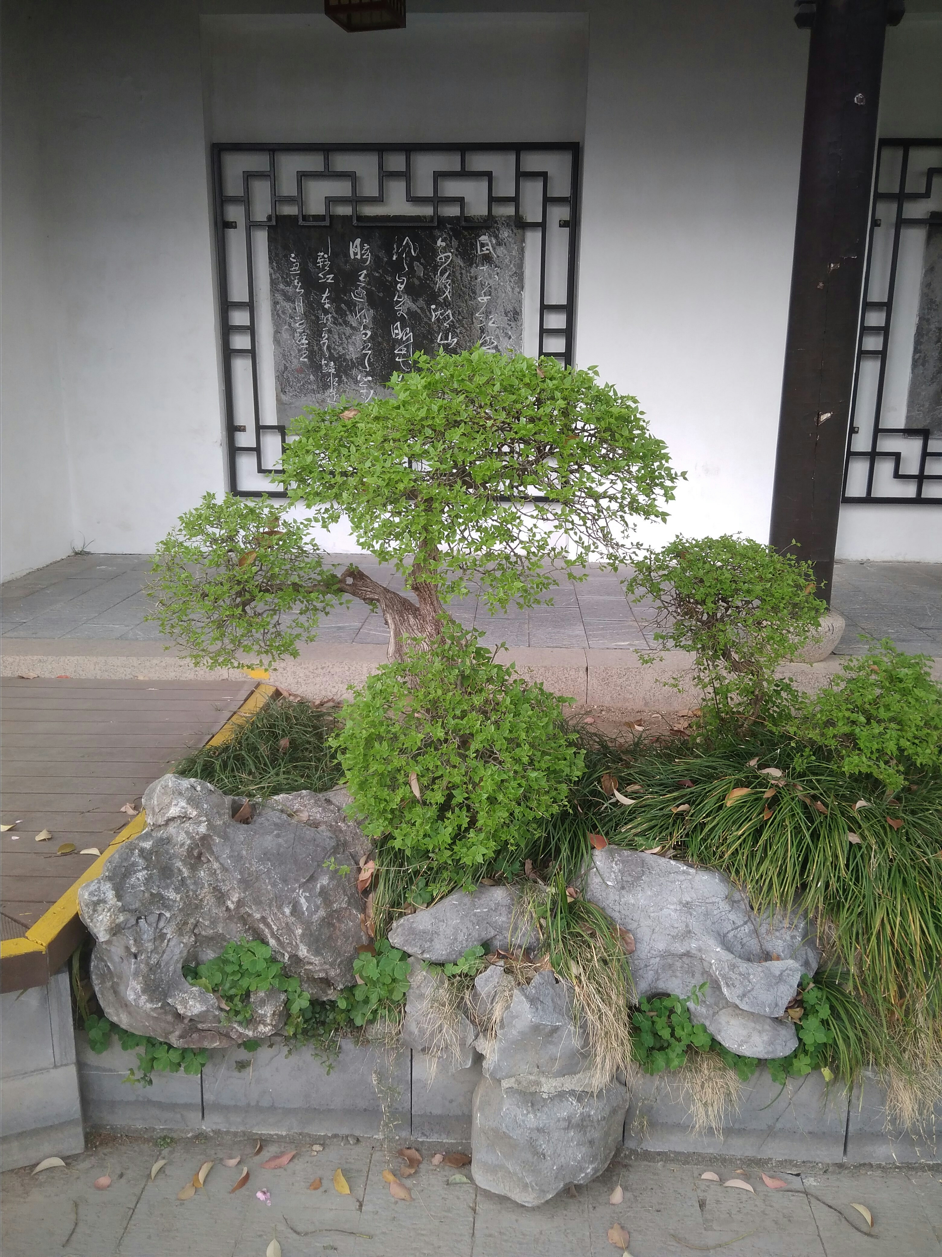昨天去东坡公园 所留的照片