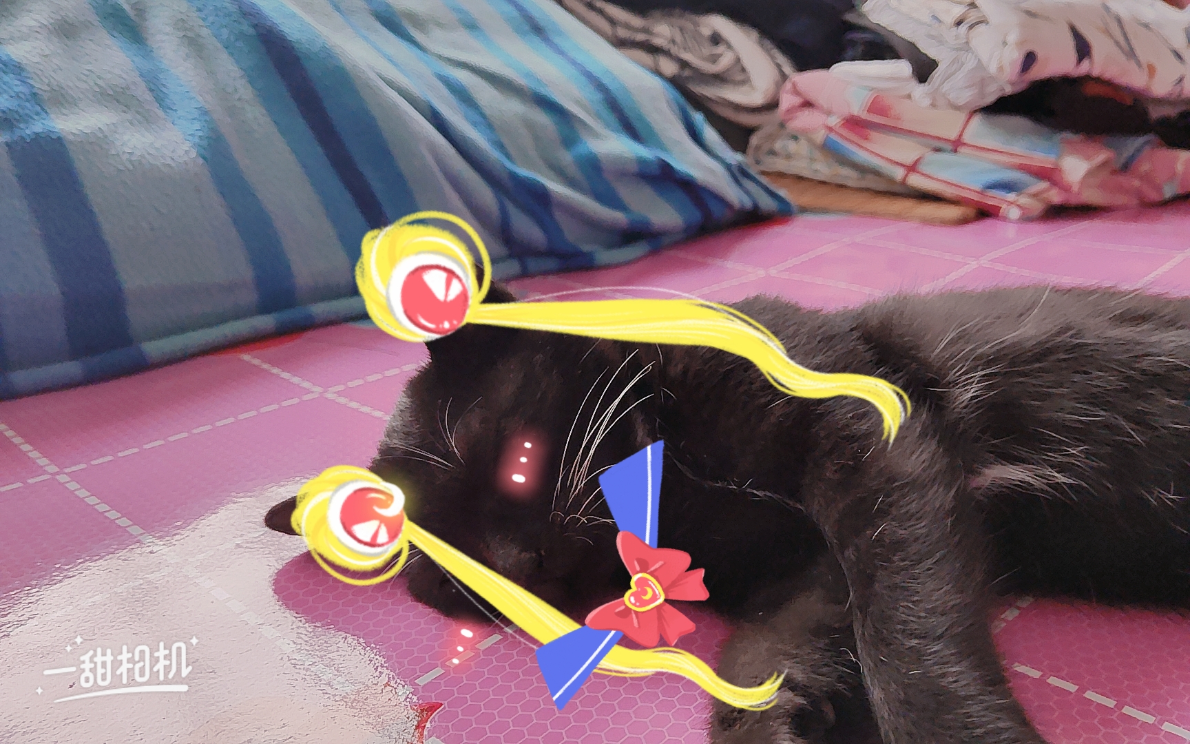 我家猫咪好看不？
