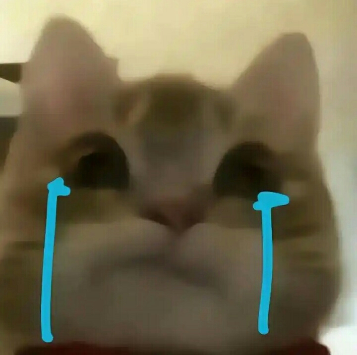 😭😭😭