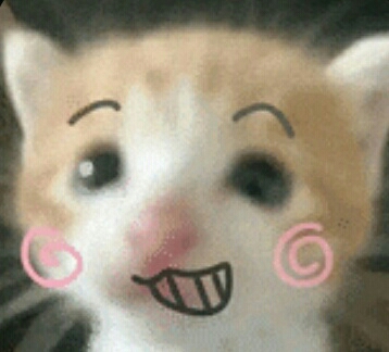 求点赞(⸝⸝ɞ̴̶̷ ·̮ ‹⸝⸝ᐡ) ⟡.·
