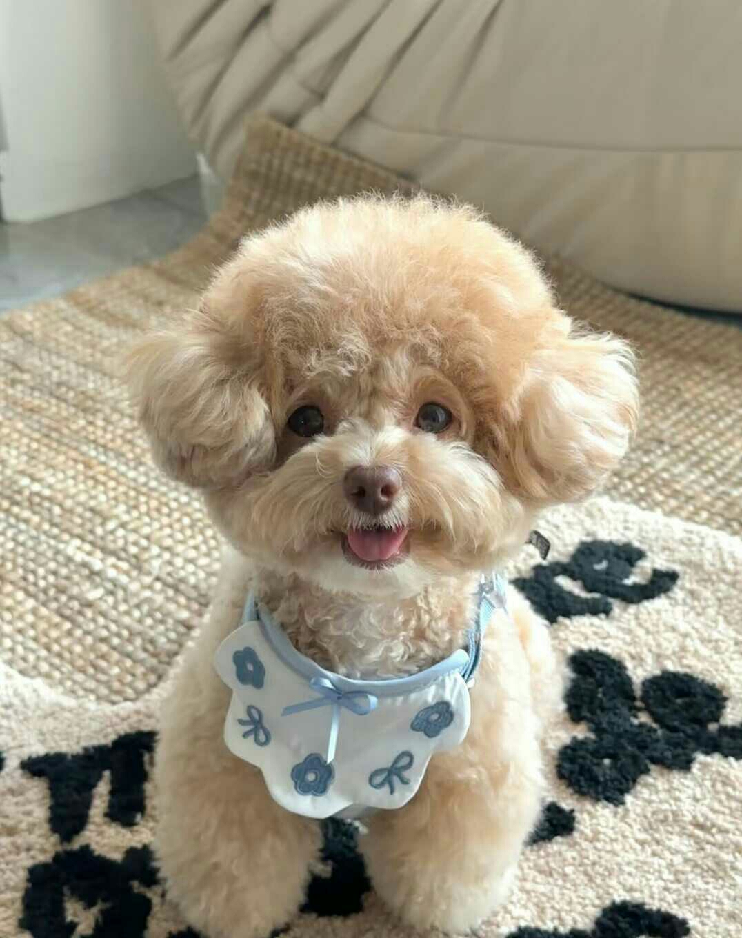 怎么说，我感觉好可爱ど⁰̷̴͈꒨⁰̷̴͈う