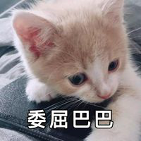 【已开奖】你约会我埋单！参与活动赢移动充值卡！