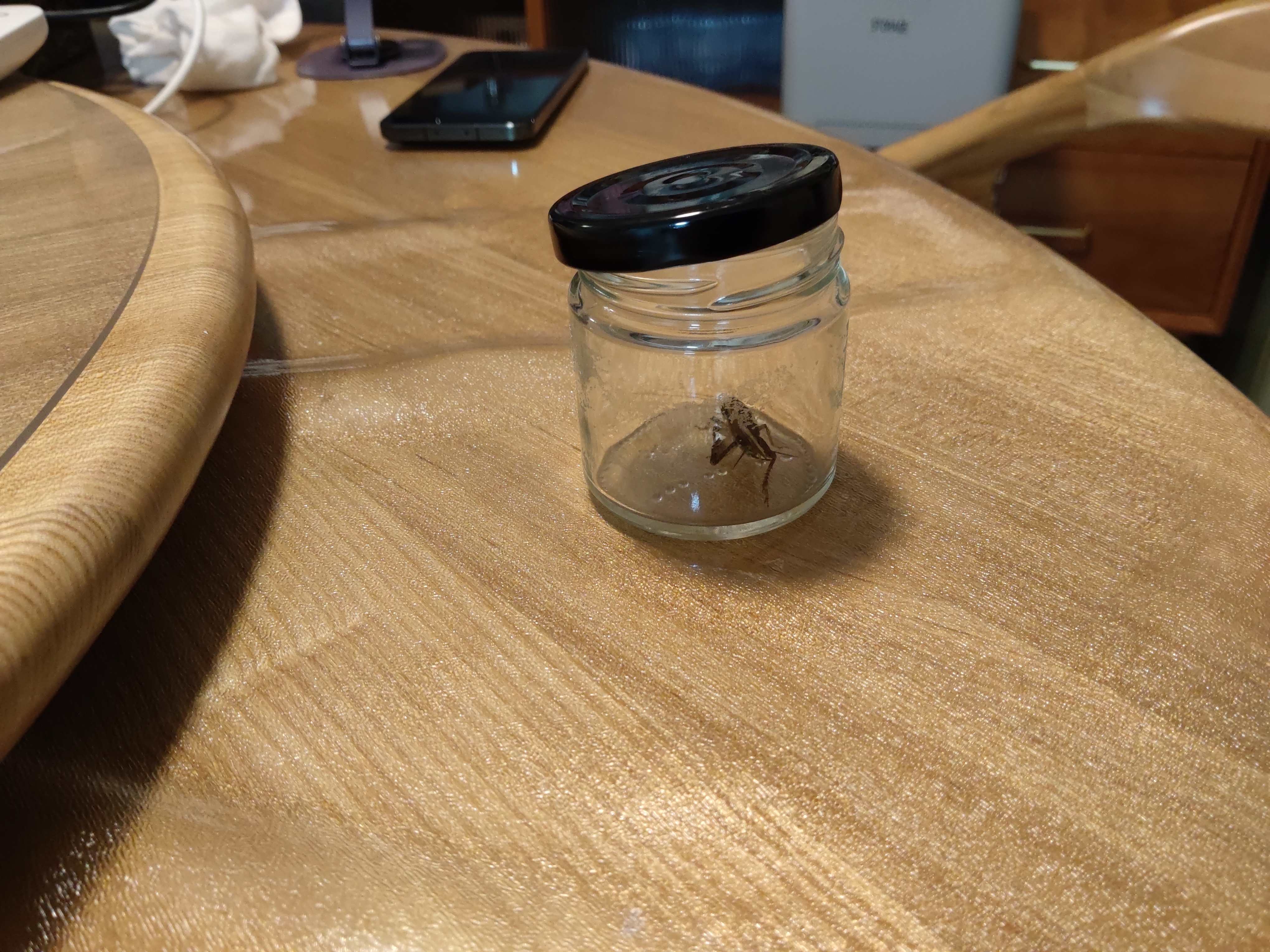 捉到一只蛐蛐