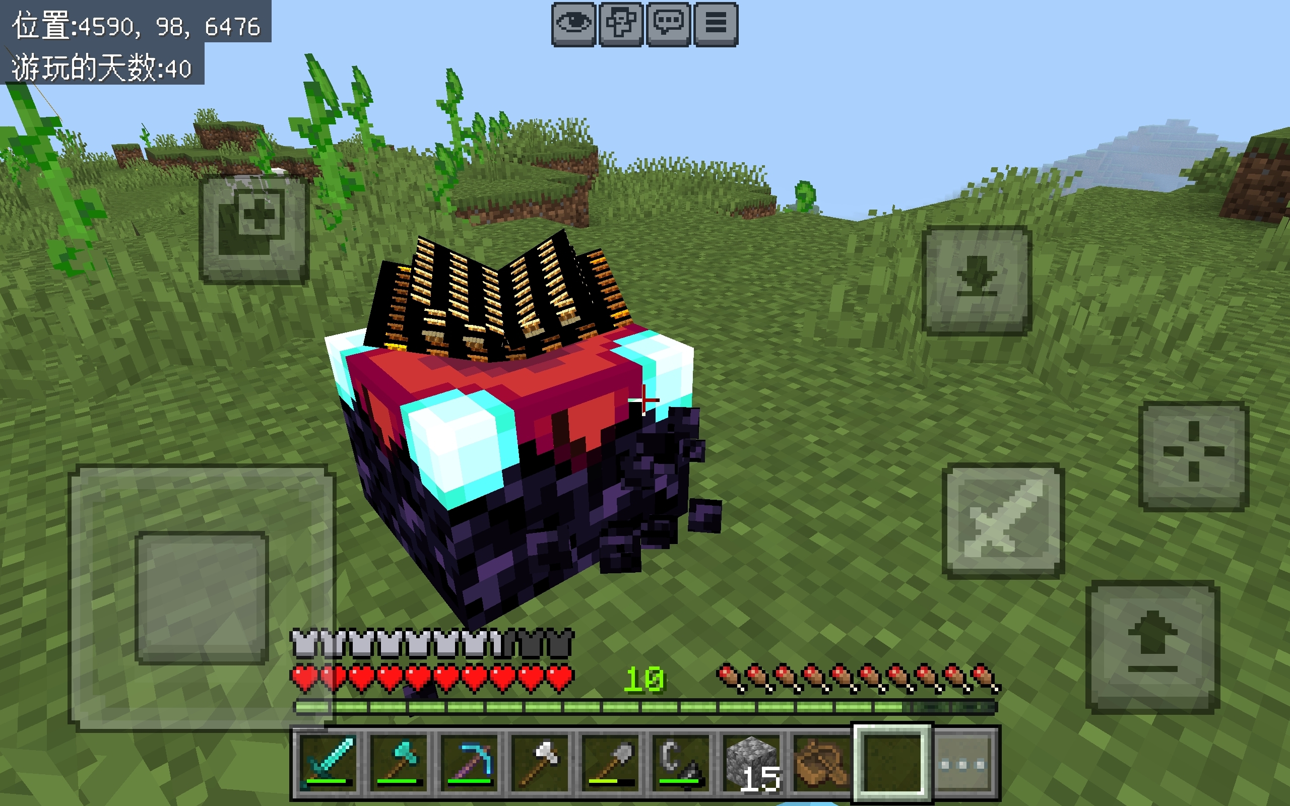 嘿嘿遇到了bug，反馈给mojang！
