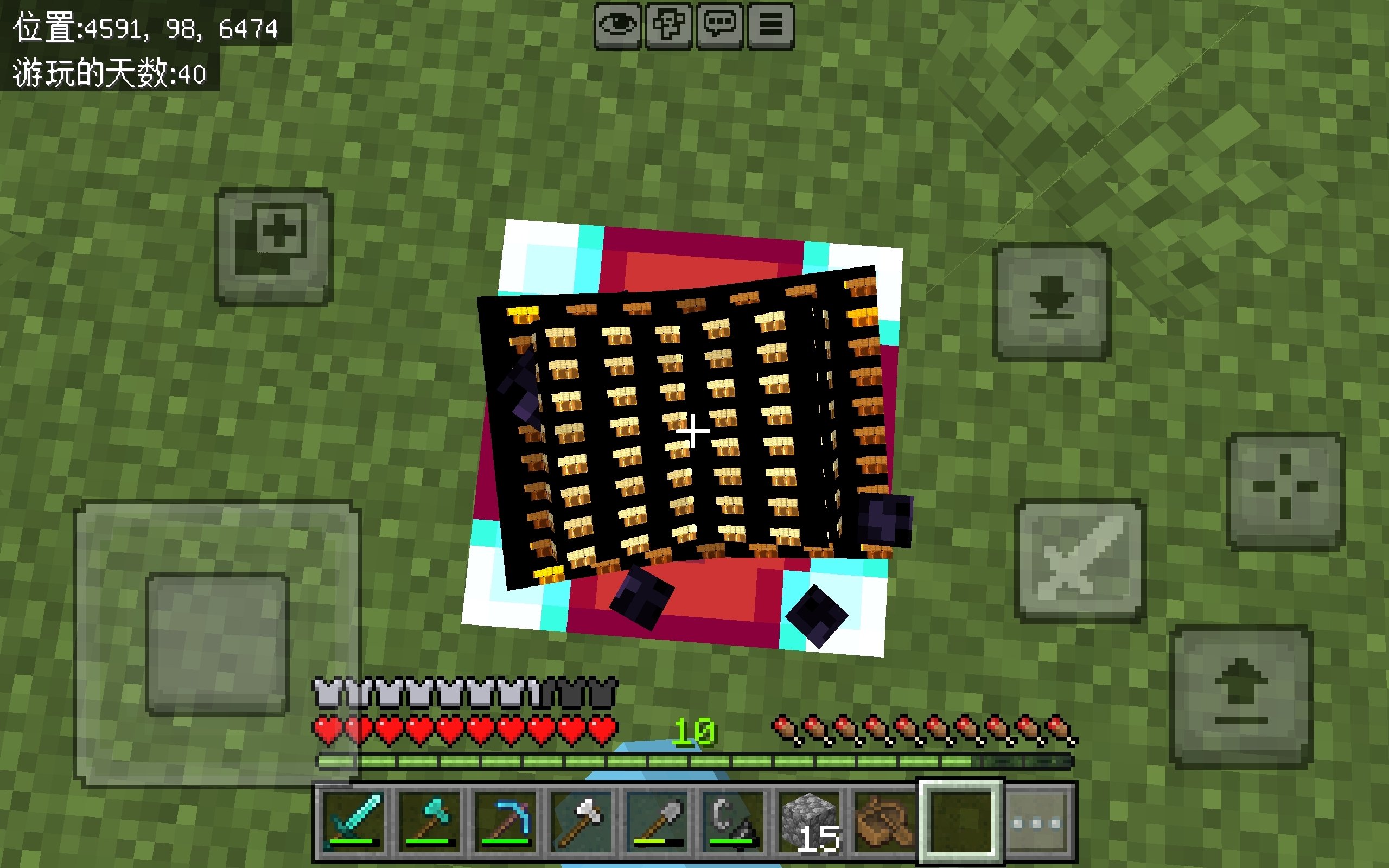 嘿嘿遇到了bug，反馈给mojang！